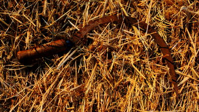 Sierp narzędzie rolnicze