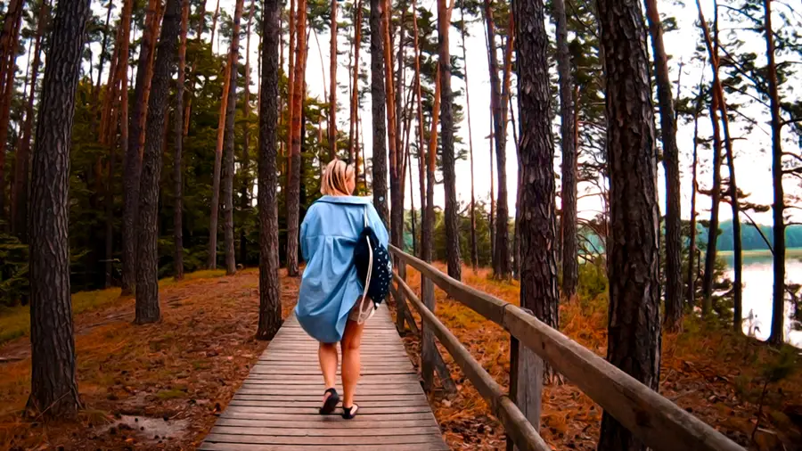 Droga do wieży widokowej w Stawy Echo w Roztoczu