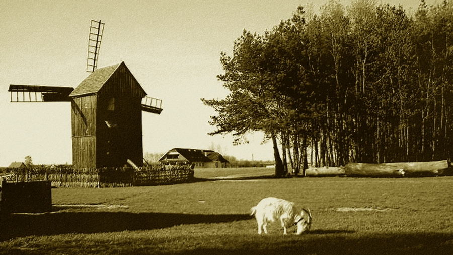 Wiatrak typu koźlak