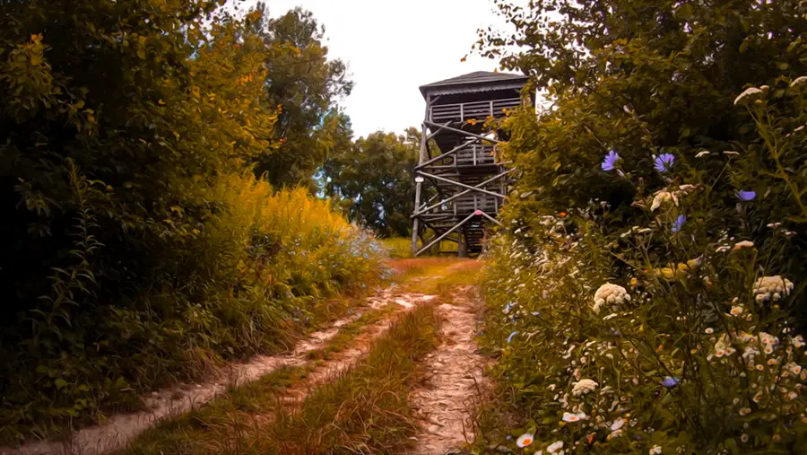 Wieża widokowa Góra Tartaczna