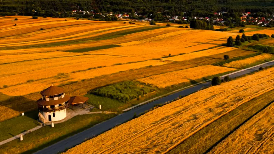 Wieża widokowa w Suscu Roztocze