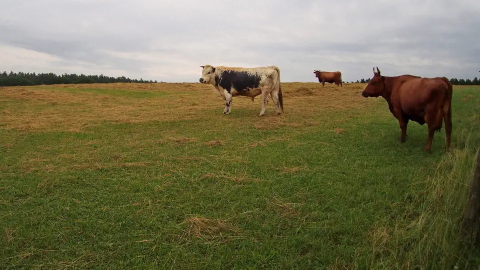 Roztoczański Park Narodowy.