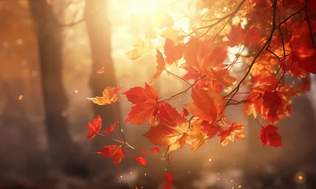 Jesień nostalgiczna pora roku informacje i ciekawostki o jesieni