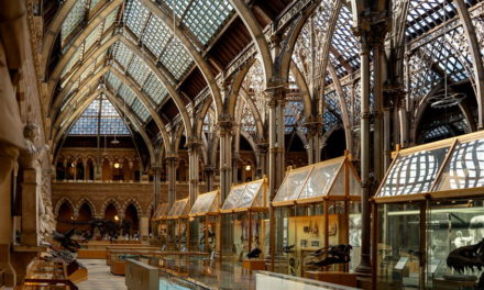 Muzeum Historii Naturalnej w Oxfordzie historia i atrakcje