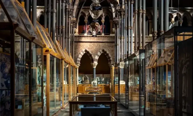 Muzeum Historii Naturalnej w Oxfordzie historia i zwiedzanie