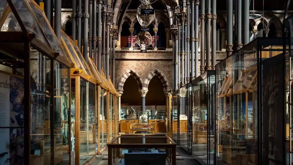 Muzeum Historii Naturalnej w Oxfordzie historia i zwiedzanie