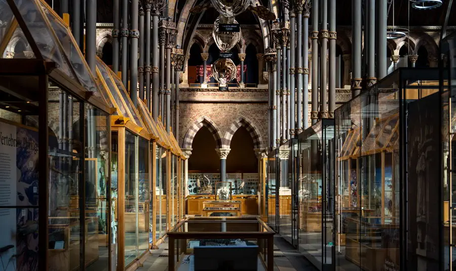 Wnętrze muzeum w Oxfordzie