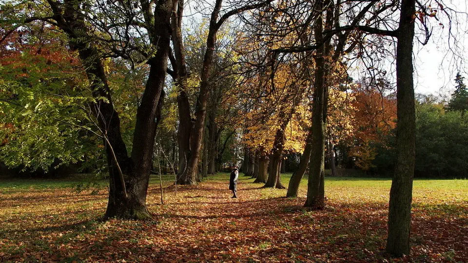 Pałuki, Dwór Marzeń.