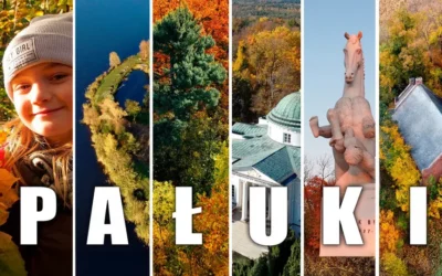 Pałuki tajemnicza kraina zwiedzanie, ciekawostki i atrakcje