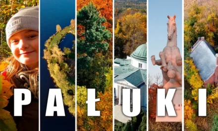 Pałuki tajemnicza kraina zwiedzanie, ciekawostki i atrakcje