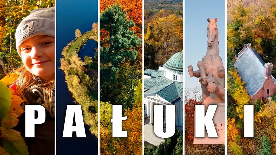 Pałuki tajemnicza kraina zwiedzanie, ciekawostki i atrakcje