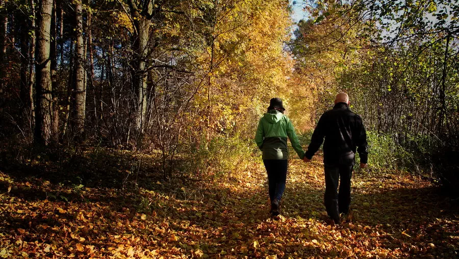 Rezerwat Grabowiec koło Świecia nad Wisłą