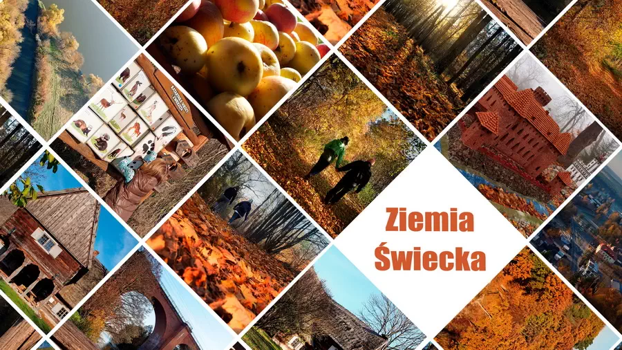 Świecie nad Wisłą Atrakcje i ciekawe miejsca w okolicy