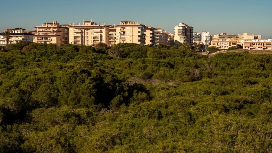 Park w La Mata Hiszpania Costa Blanca