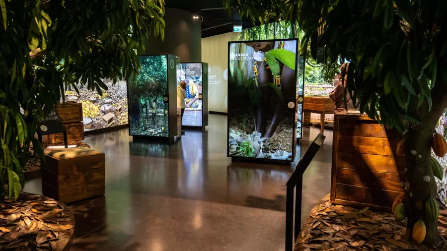 Fabryka szwajcarskiej czekolady Lindt w Zurychu. Muzeum Czekolady Lindt w Zurichu, dział Ameryki Środkowej