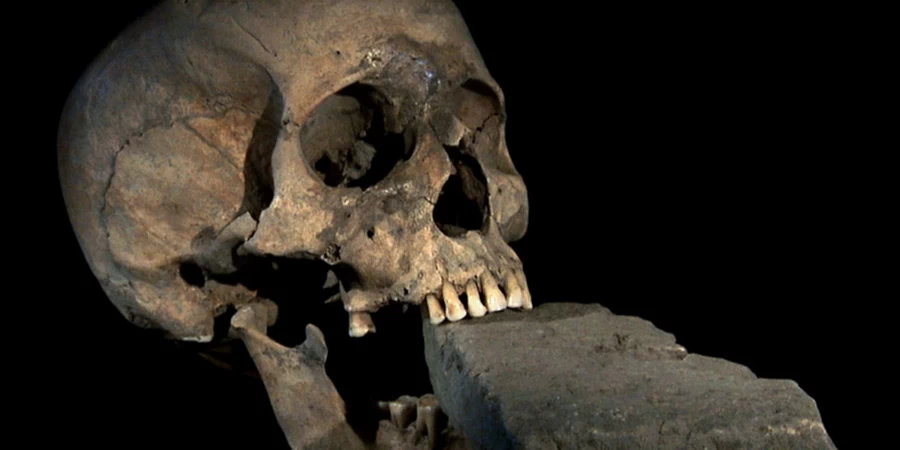 Czaszka wampira  z kamieniem w szczękach