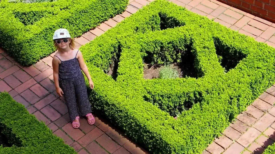 Zamek Królewski w Krakowie, Wawel.