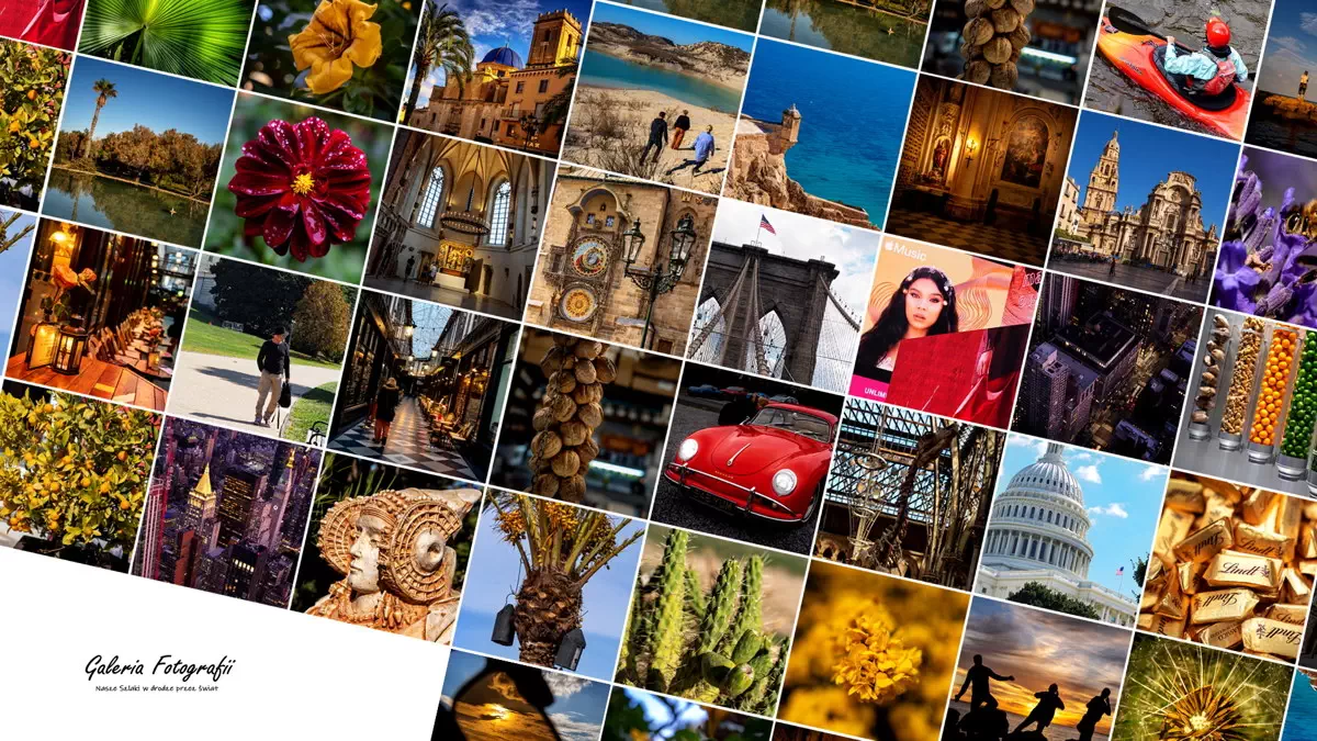 Galeria Fotografii
