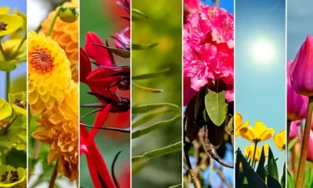 Dolina Rzeki Kulawy w rezerwacie Zaborski Park Krajobrazowy