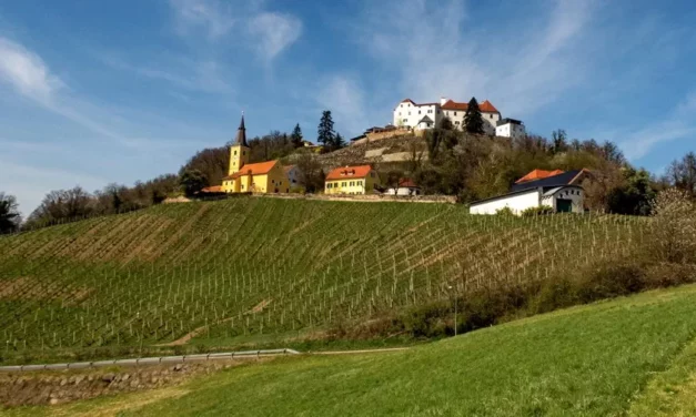 Zamek Kapfenstein romantyczny ślub i najlepsze wino