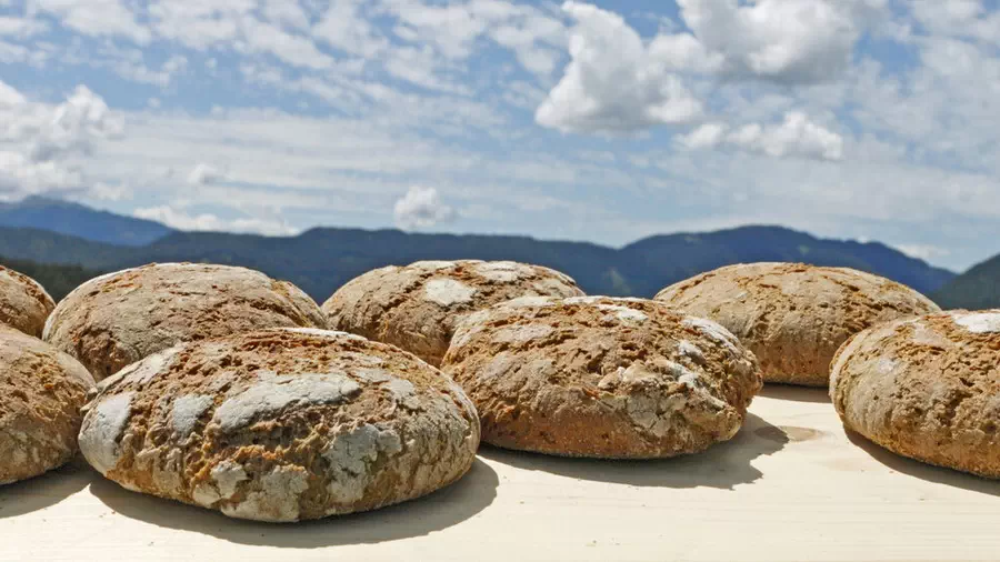 Chleb trzęsiony z włoch