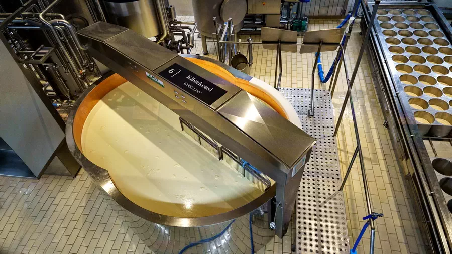Szwajcarski ser Appenzeller. Hala produkcyjna sera appenzeller w Szwajcarii