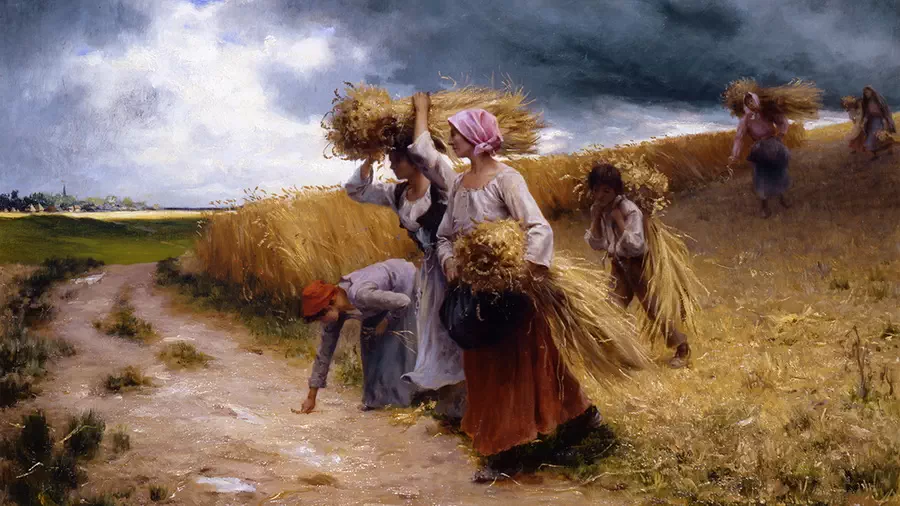 Ludzie pracujący w polu