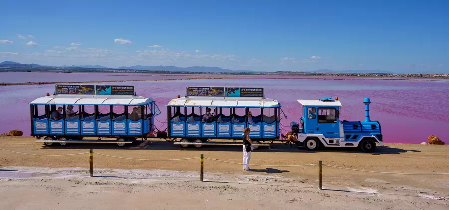 Niebieski pociąg z Torrevieja