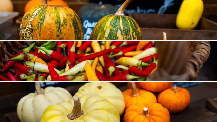 Warzywa z ogrodów National Trust