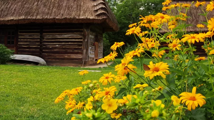 Kwiaty i zieleń w Muzeum Wsi Lubuskiej