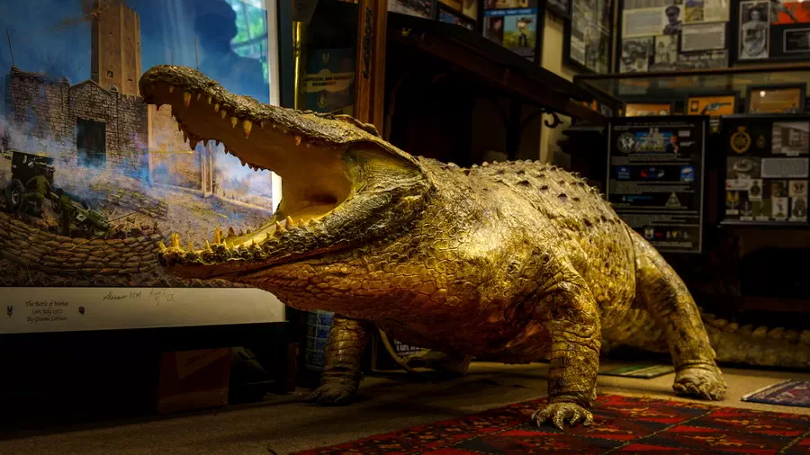 Littledean Jail krokodyl