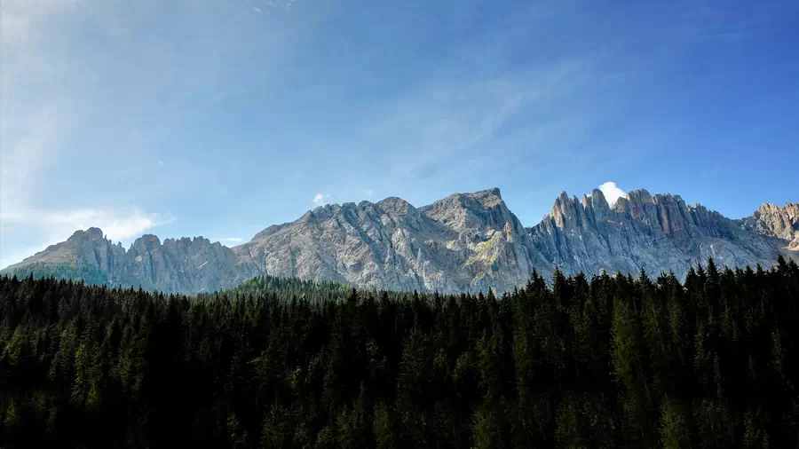 Strome skały w dolomitach we Włoszech