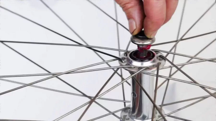 Koło i piasta w rowerze