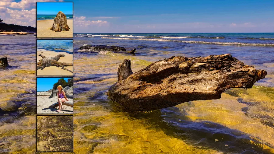 Zatopiony las koło Czołpina nadbałtycka ciekawostka warta zobaczenia!