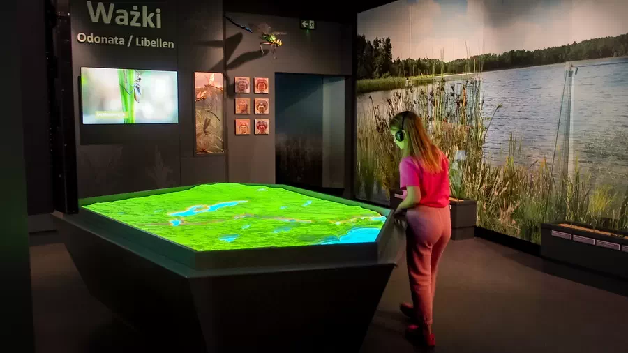 Dziewczynka w Muzeum Borów Tucholskich