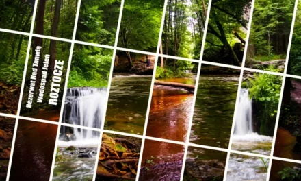 Szumy nad Tanwią i wodospad Jeleń na Roztoczu, cuda natury!