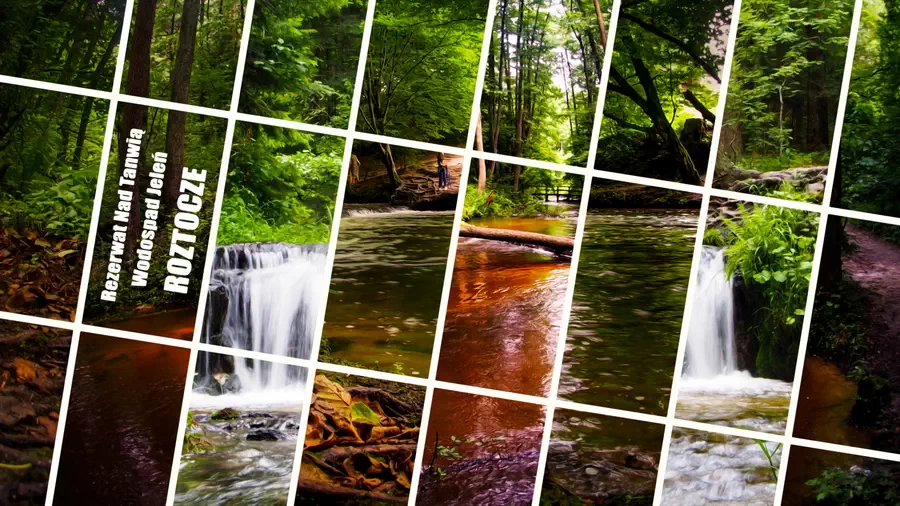 Szumy nad Tanwią i wodospad Jeleń na Roztoczu, cuda natury!