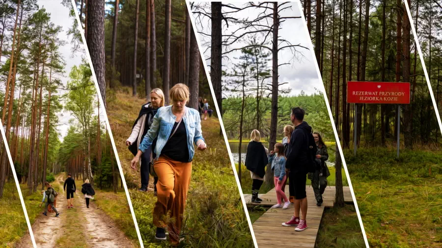 Spacer po Borach Tucholskich