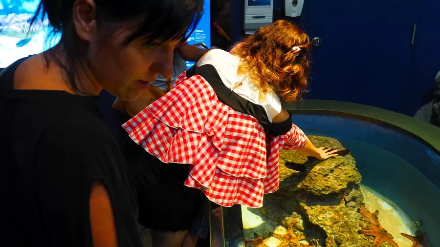 Akwarium ze ślimakami i dziewczynka która je dotyka