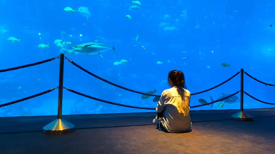 Dziewczyna przy wielkiej szklanej tafli w oceanarium w Singapurze