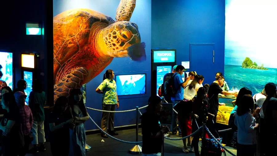 Wielkie oceanarium w Singapurze