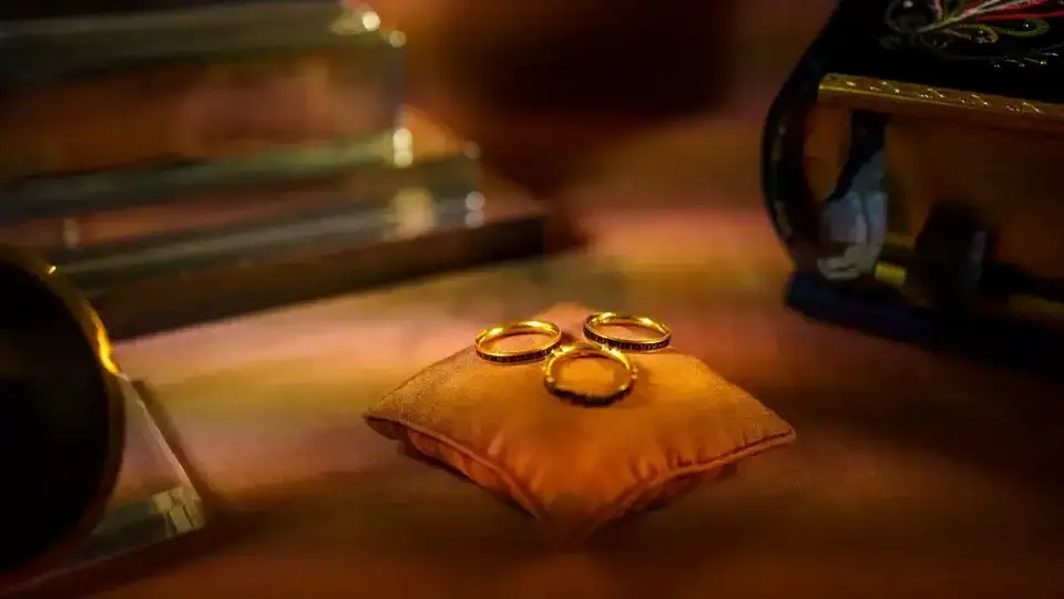 Killerton House National Trust.