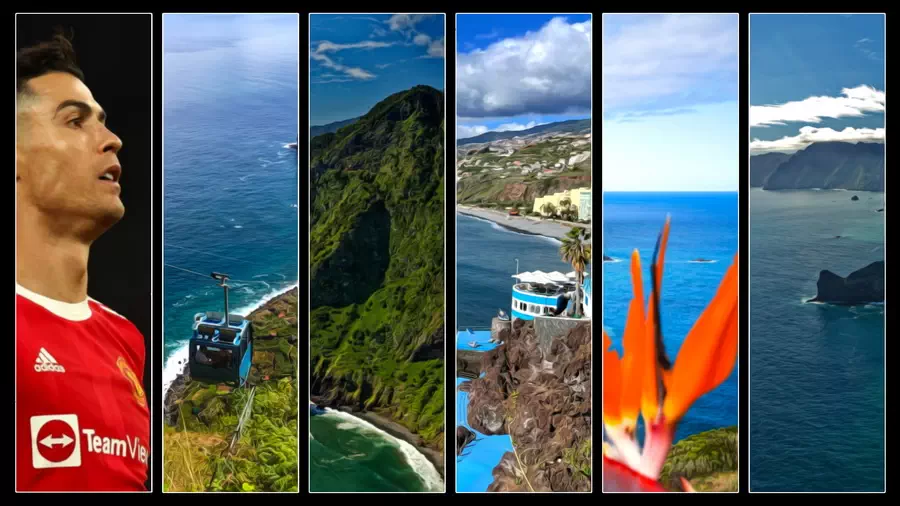 Madera Czy w żyłach Cristiano Ronalda płynie polska krew?