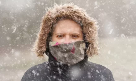 Zima mroźna pora roku informacje i ciekawostki o zimie