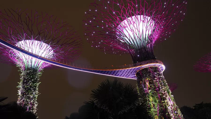 Gardens by the Bay w Singapurze