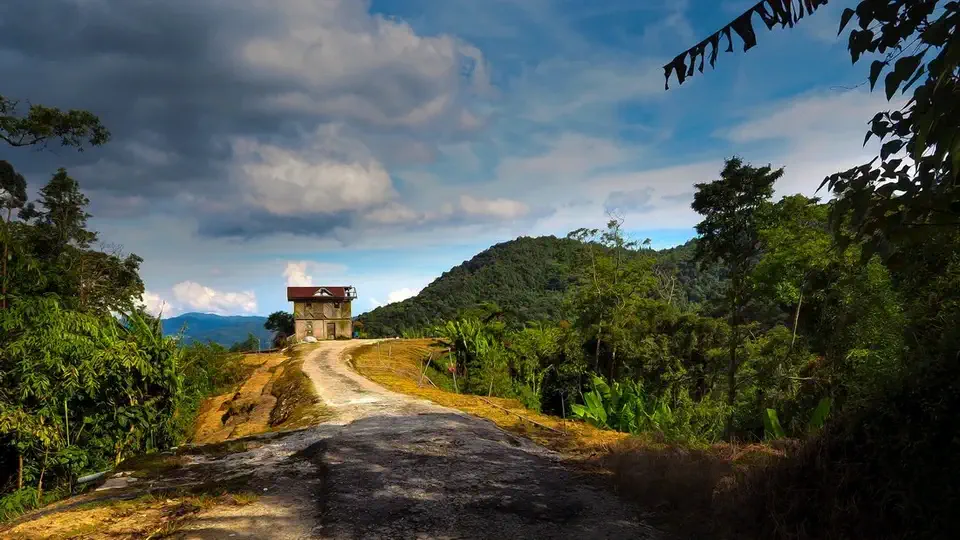 Cameron Highlands i pola herbaty.