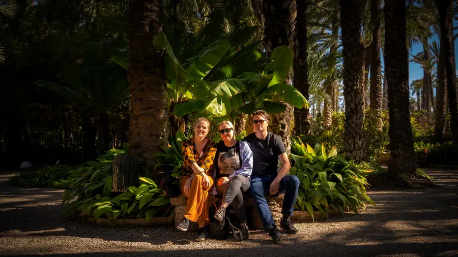 Gaj palmowy w Elche i szczęśliwi ludzie