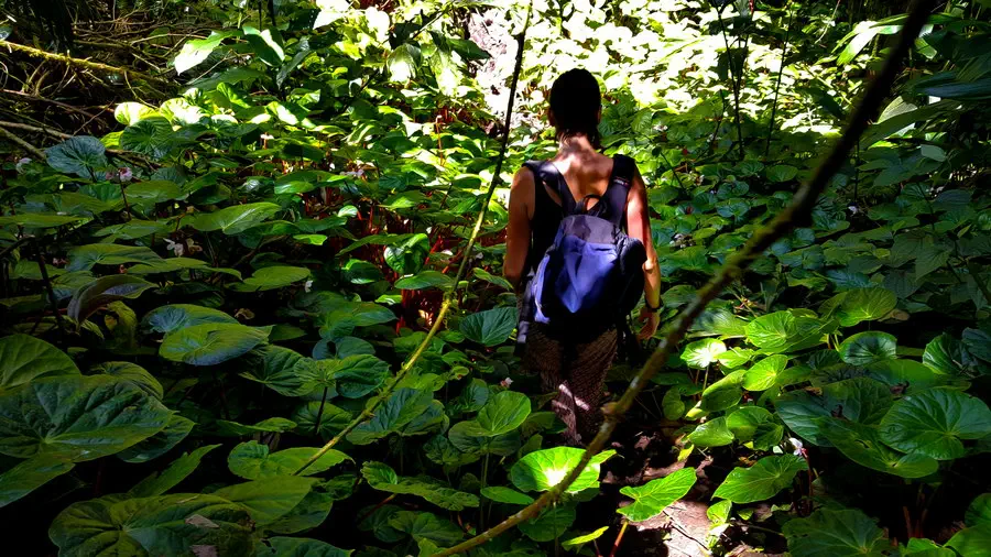 Magdalena Kiżewska w malezyjskiej dżungli