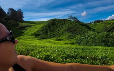 Cameron Highlands wyprawa przez góry i pola herbaty