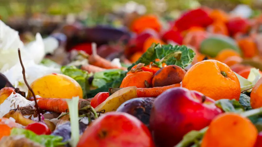 Zmarnowana żywność na wysypisku śmieci